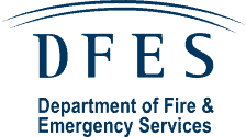Dfes Logo